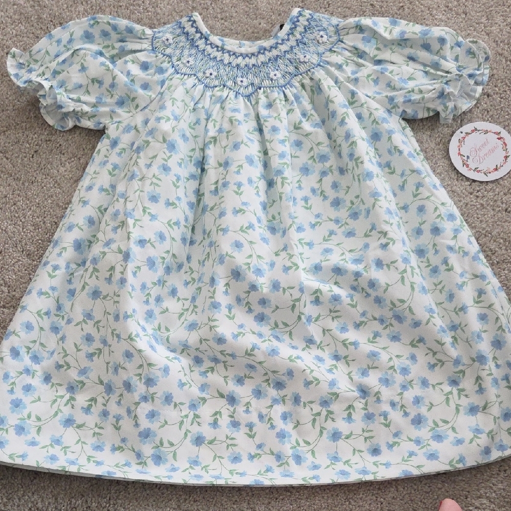 Sweet Dreams Blue and Green Floral Smocked Toddler Dress